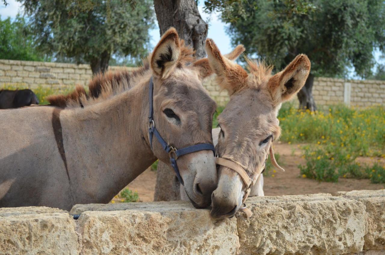 Masseria Grande Taurisano Eksteriør billede